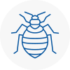Bed Bug Extermination In Calderdale